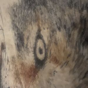 Meet your Posher, Sharonda